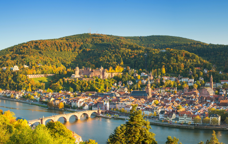 Heidelberg Panorama mit Schloss und Alter Brücke