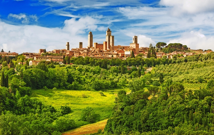 Panorama von San Gimignano in den Weinbergen, Italien