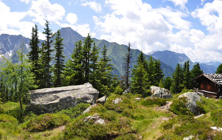 Panorama der Zillertaler Alpen - © Henry Czauderna - stock.adobe.com