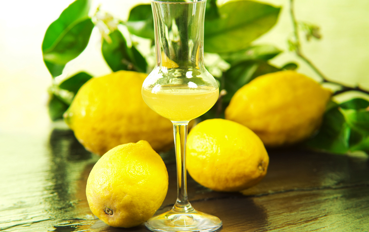 Limoncello-Glas mit frischen Zitronen