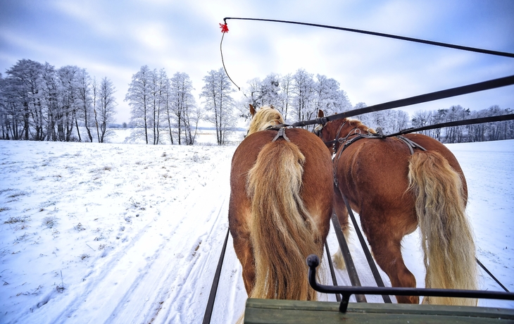 Schlittenfahrt im Winter in den Masuren, Polen
