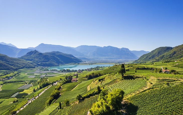 Weinberge rund um den Kalterer See im Süden Südtirols